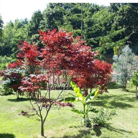 Appartamento Istanti - Salvia Costigliole Saluzzo Esterno foto