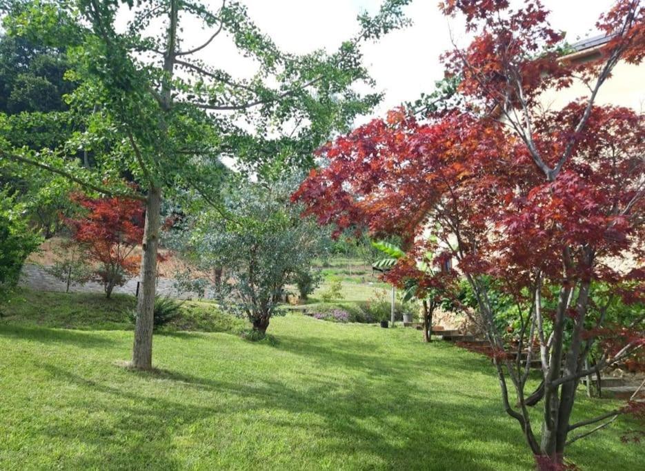 Appartamento Istanti - Salvia Costigliole Saluzzo Esterno foto