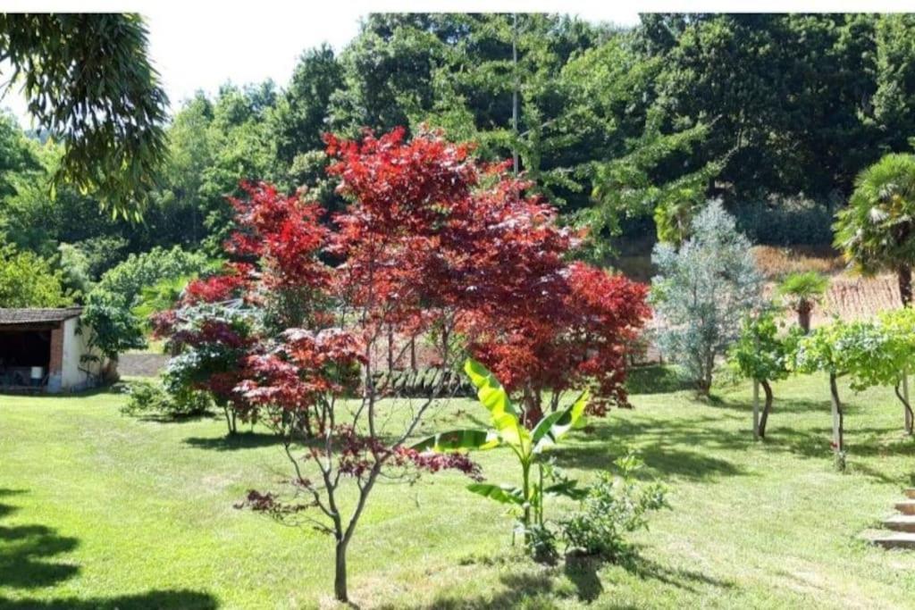 Appartamento Istanti - Salvia Costigliole Saluzzo Esterno foto
